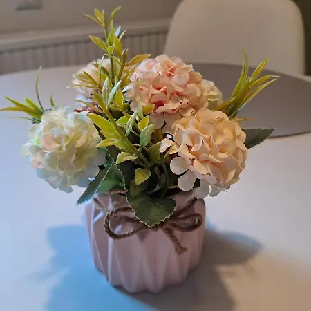 Fuer 4 Personen 35 M² Apartman Oberwiesenthal